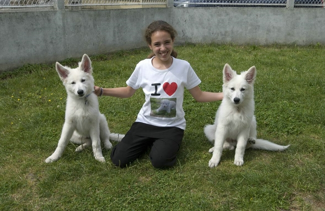 comette_ckeira2