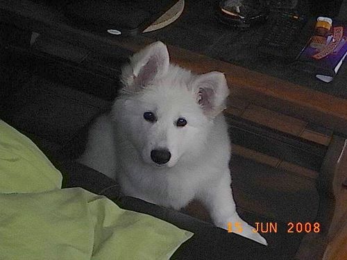 loona10