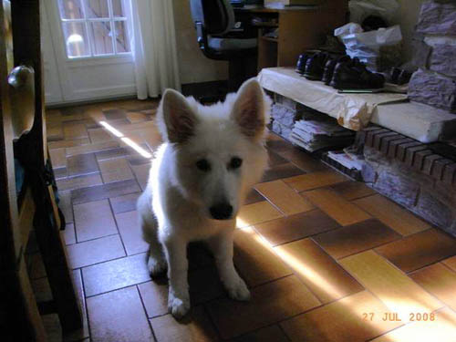 loona13