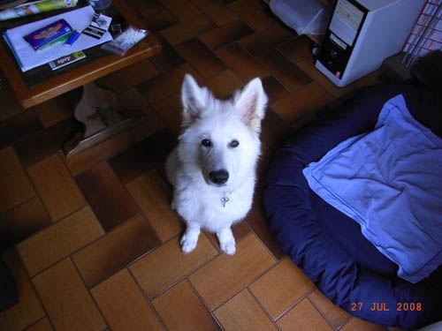 loona15