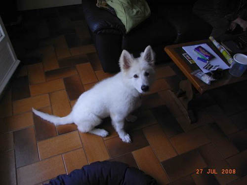 loona17