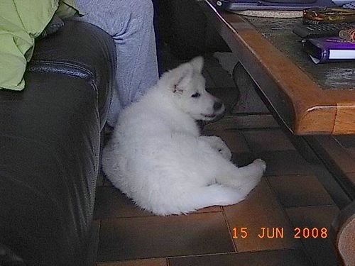 loona9