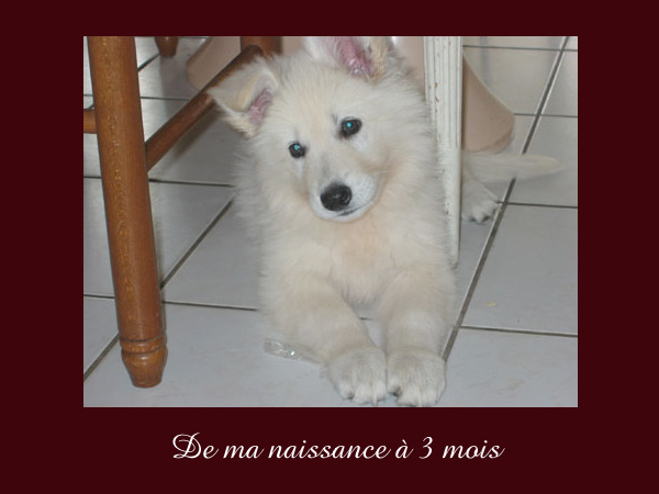 photo1