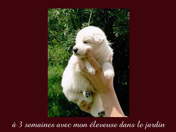 photo10