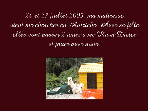 photo11