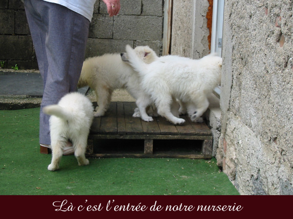 photo12