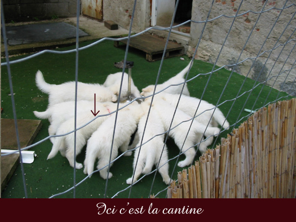 photo13