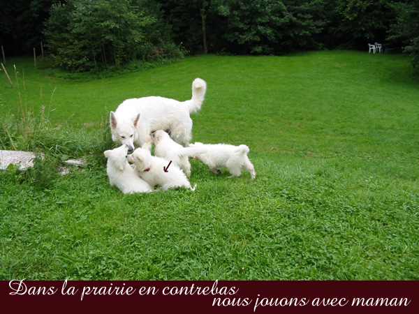 photo14