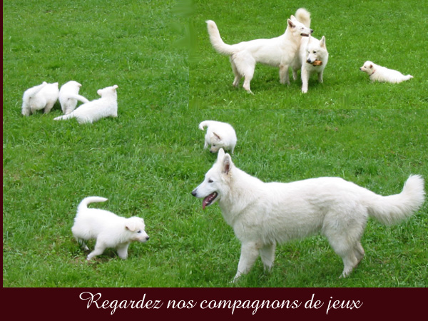 photo16