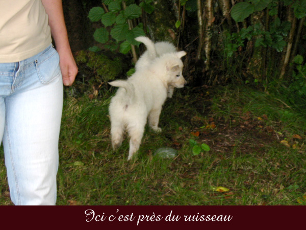 photo17