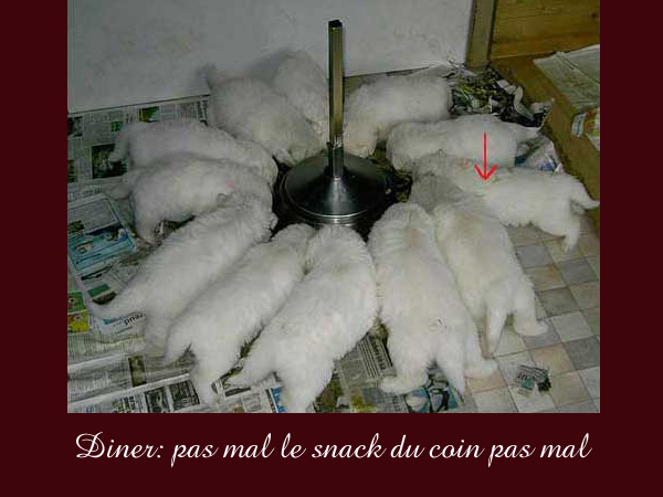 photo17b