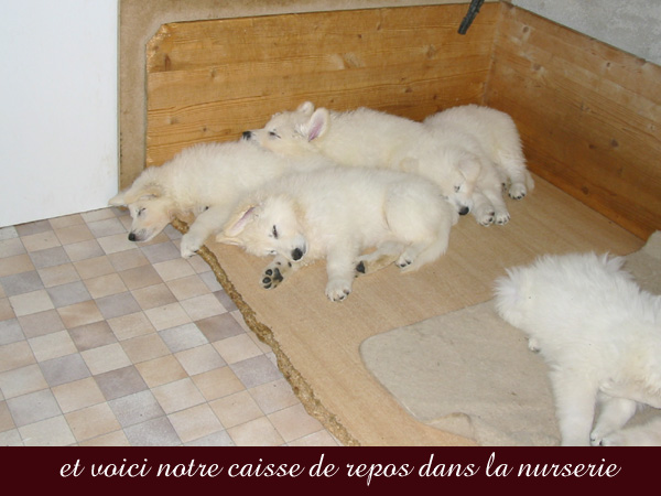 photo18