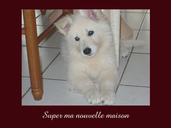 photo20