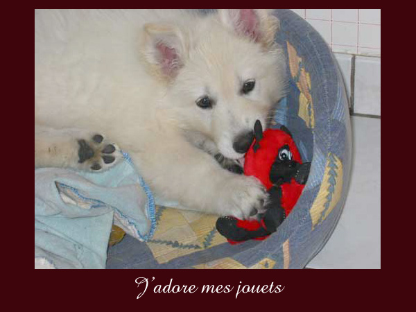 photo21
