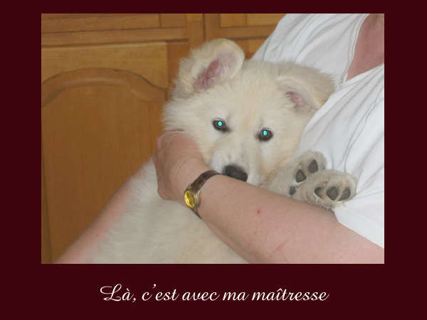 photo21b