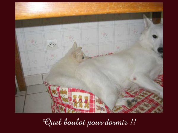 photo22