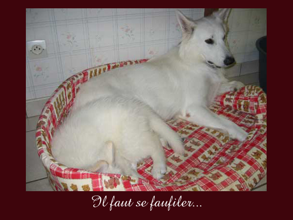 photo23