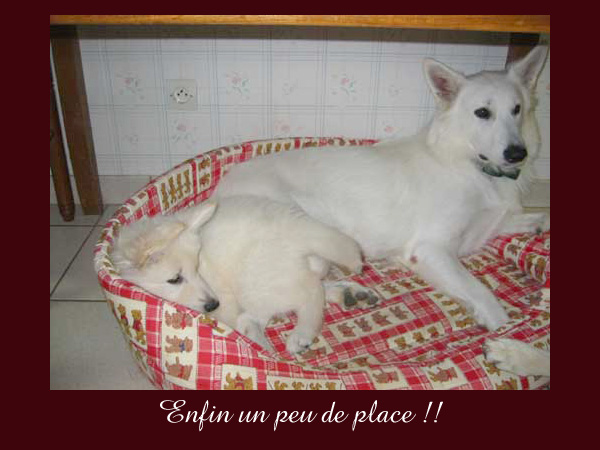 photo24
