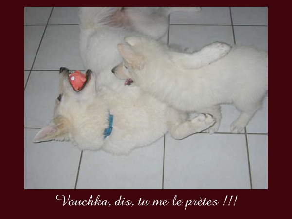 photo25
