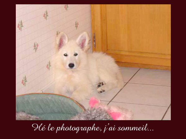 photo29