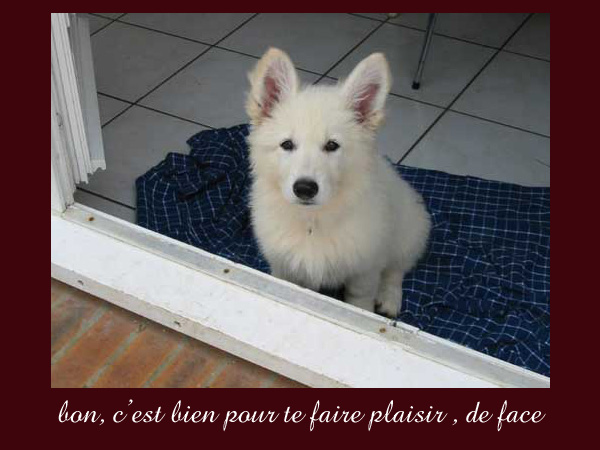 photo31