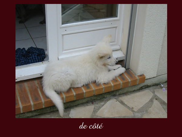 photo32