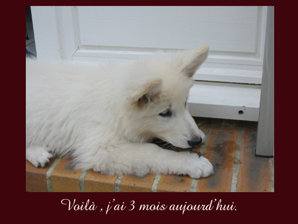 photo34