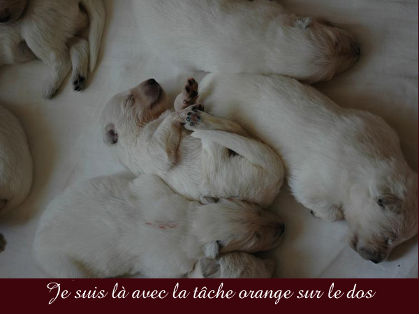 photo4