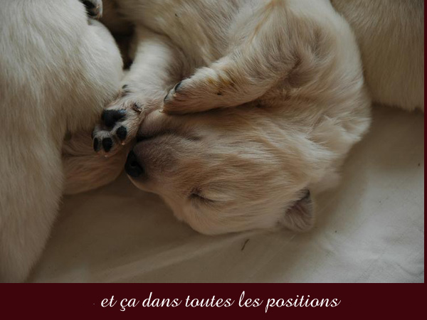 photo6