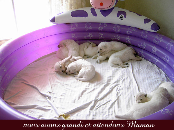 photo7