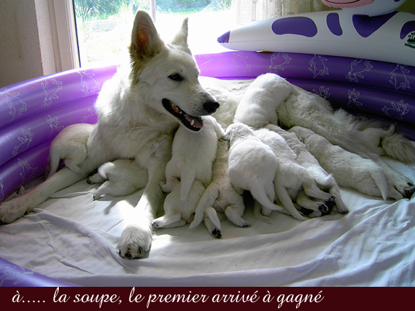 photo8