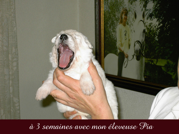 photo9