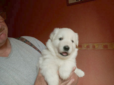 J24_bleu2002