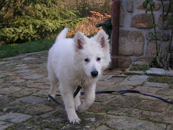 photo10