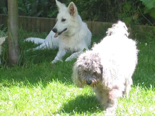 photo14