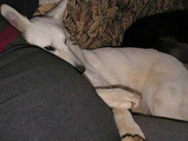 photo19