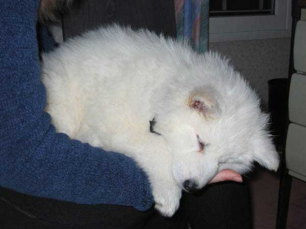 photo2