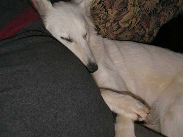 photo20
