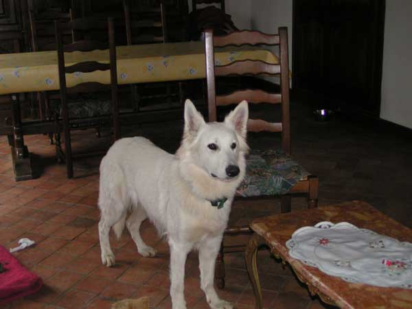 photo21