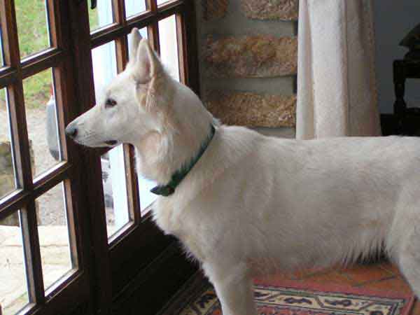 photo22