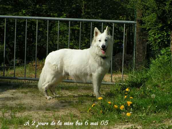 photo23