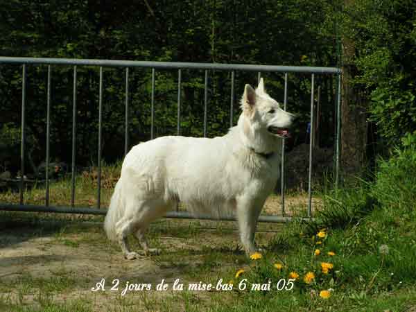 photo24