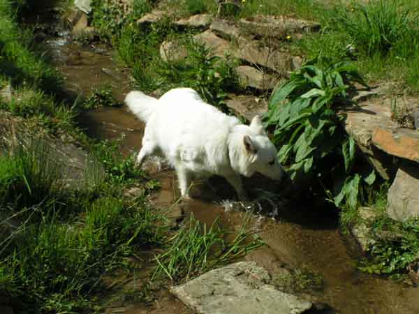 photo25