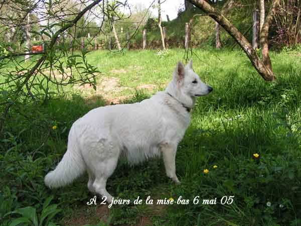 photo26