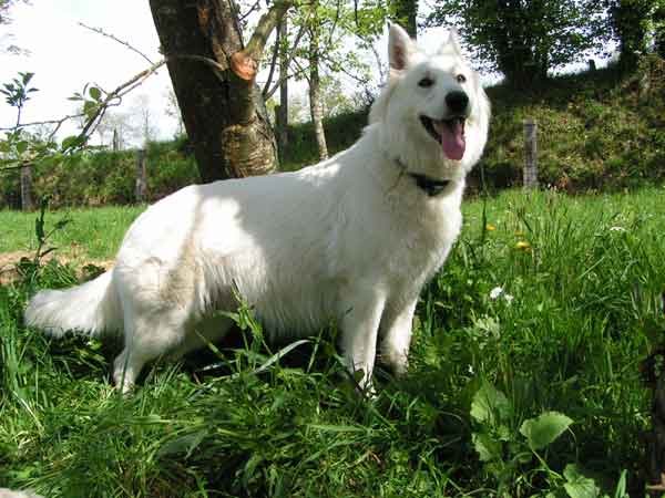 photo27