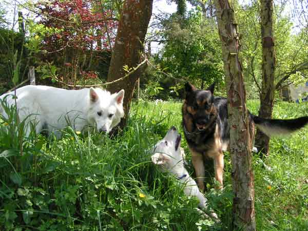 photo28