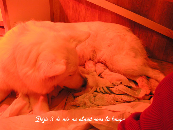 photo29