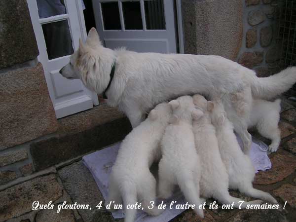 photo30