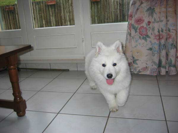 photo7