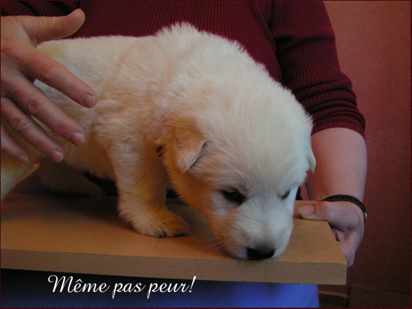 photo10